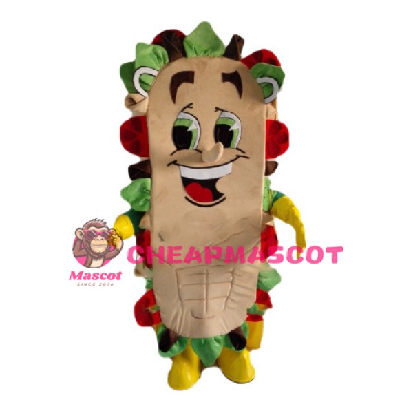 Good Looking Cartoon Sandwich Mascot Costume