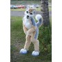 Brown & White Husky Dog Mascot Costume