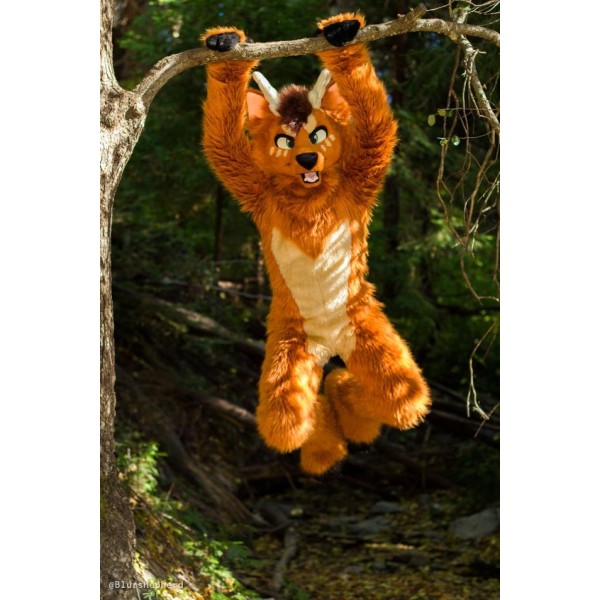 Brown Dog Wolf Mascot Costume