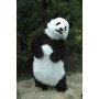 Deluxe Realistic Panda Mascot Costume