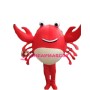 Red Crab Mascot Costume