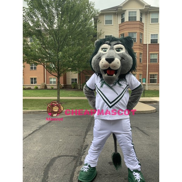 College Green Lion Mascot Costume