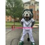 College Green Lion Mascot Costume