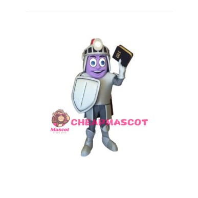 Church Knight Mascot Costume