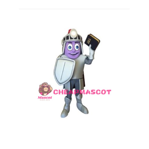 Church Knight Mascot Costume