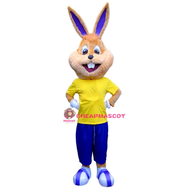 College Happy Bunny Mascot Costume