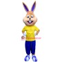 College Happy Bunny Mascot Costume