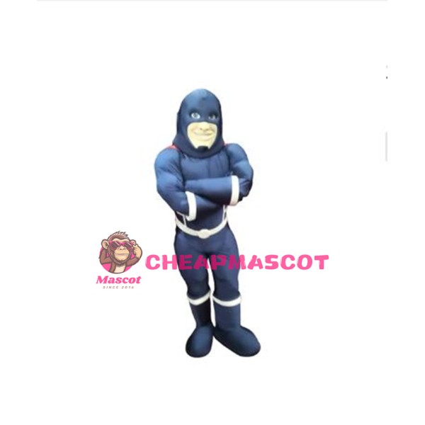 Blue Super Hero Mascot Costume