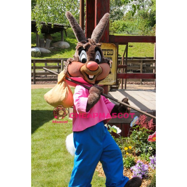 Super Cute Rabbit Mascot Costume