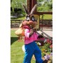 Super Cute Rabbit Mascot Costume
