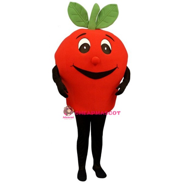Cute Red Apple Mascot Costume