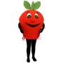 Cute Red Apple Mascot Costume