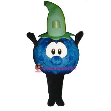 Cute Blueberry Mascot Costume