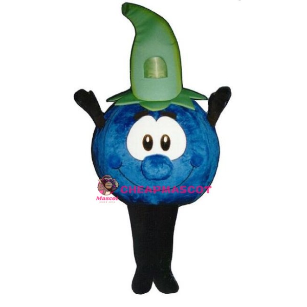 Cute Blueberry Mascot Costume