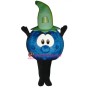 Cute Blueberry Mascot Costume