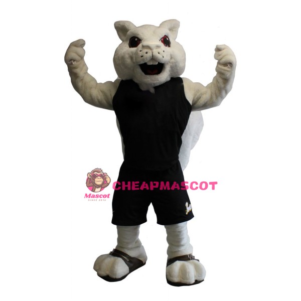 Sport White Squirrel Mascot Costume