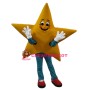 Star Mascot Costume