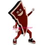 Lightning Bolt Mascot Costume