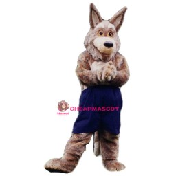 Coyote Mascot Costume