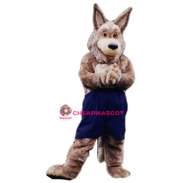 Coyote Mascot Costume