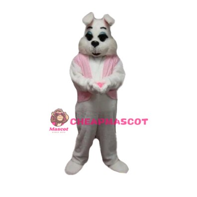 Rabbit Mascot Costume