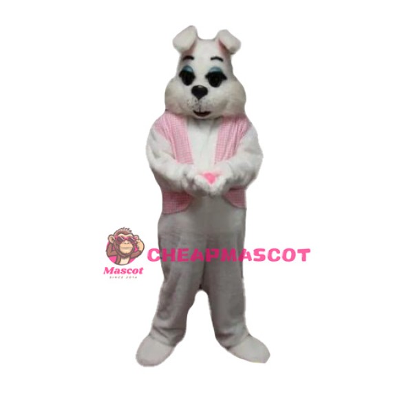 Rabbit Mascot Costume