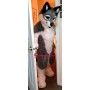 Super Friendly Wolf Mascot Costume