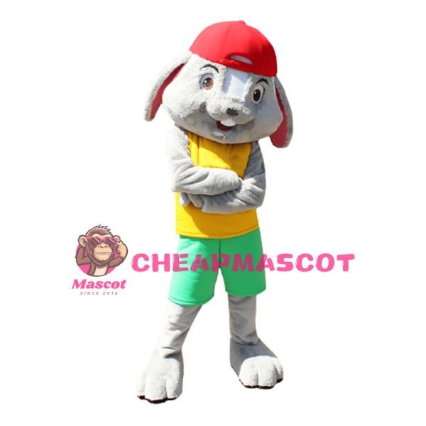 Sport College Rabbit Mascot Costume