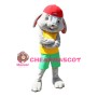 Sport College Rabbit Mascot Costume