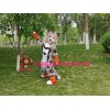 Colorful Husky Dog Wolf Mascot Costume
