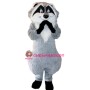 Lovely Raccoon Mascot Costume