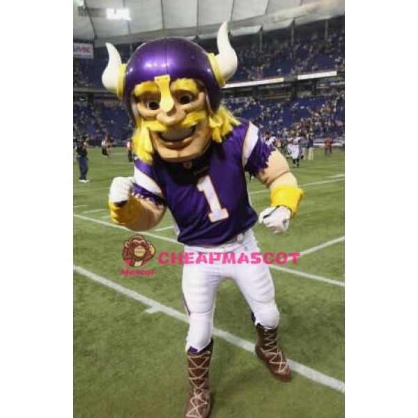 Football Viking Mascot Costume