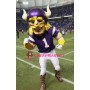 Football Viking Mascot Costume