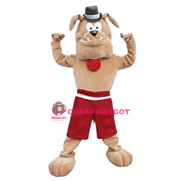 Cute Brown Bulldog Mascot Costume