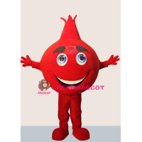 Pomegranate Mascot Costume