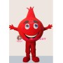 Pomegranate Mascot Costume