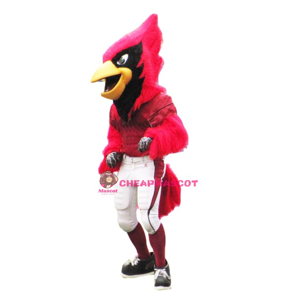 Sport Fierce Cardinal Bird Mascot Costume