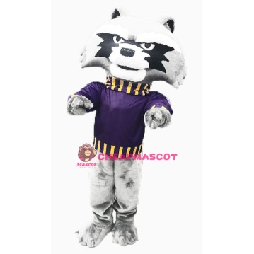 College Cute Raccoon Mascot Costume