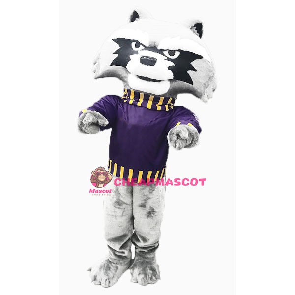 College Cute Raccoon Mascot Costume