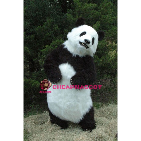 Realistic Wild Panda Mascot Costume