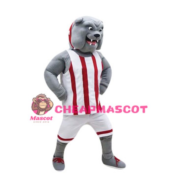 Sport Bulldog Mascot Costume