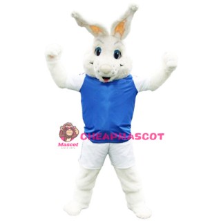 Peter Burrow Rabbit Mascot Costume