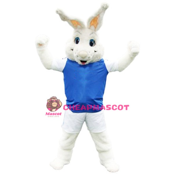 Peter Burrow Rabbit Mascot Costume