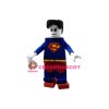 Hero Superman Mascot Costume