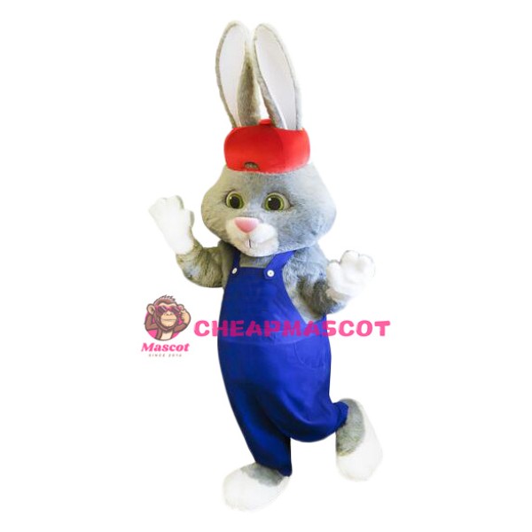Lovely Long-eared Rabbit Mascot Costume