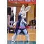 Sport White Rabbit Mascot Costume