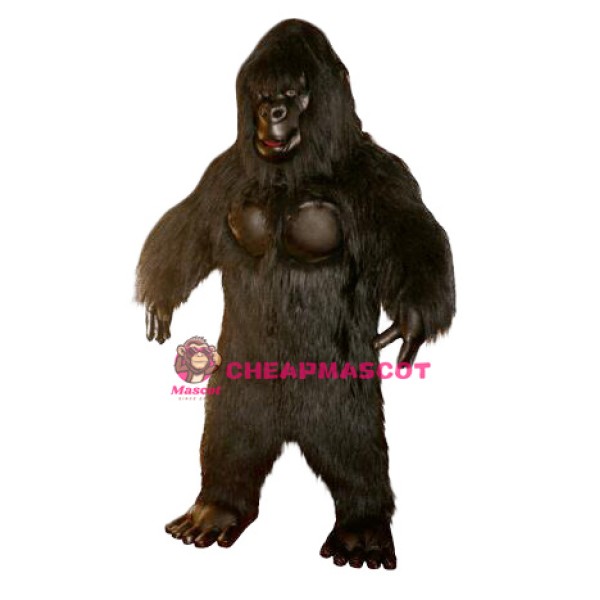 Superb Chimpanzee Mascot Costume