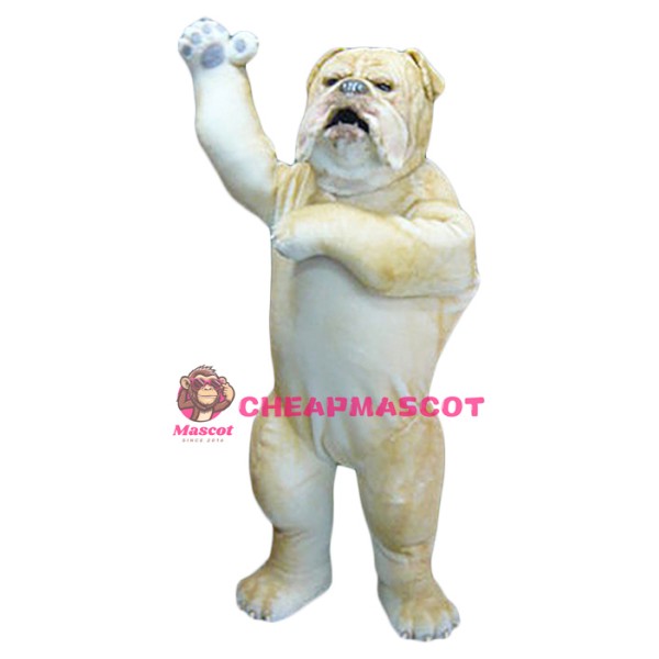 Realistic Wild Bulldog Mascot Costume