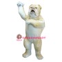 Realistic Wild Bulldog Mascot Costume