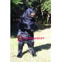 Realistic Wild Black Bear Mascot Costume